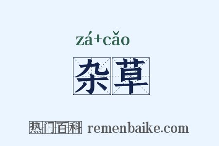 杂草是什么意思的图片